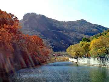 澳门今晚一肖必中特，水牛养殖基地